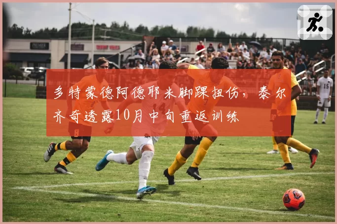 多特蒙德阿德耶米脚踝扭伤，泰尔齐奇透露10月中旬重返训练