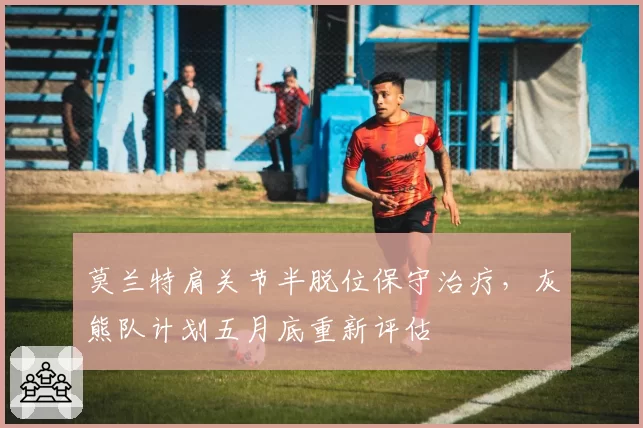 莫兰特肩关节半脱位保守治疗，灰熊队计划五月底重新评估