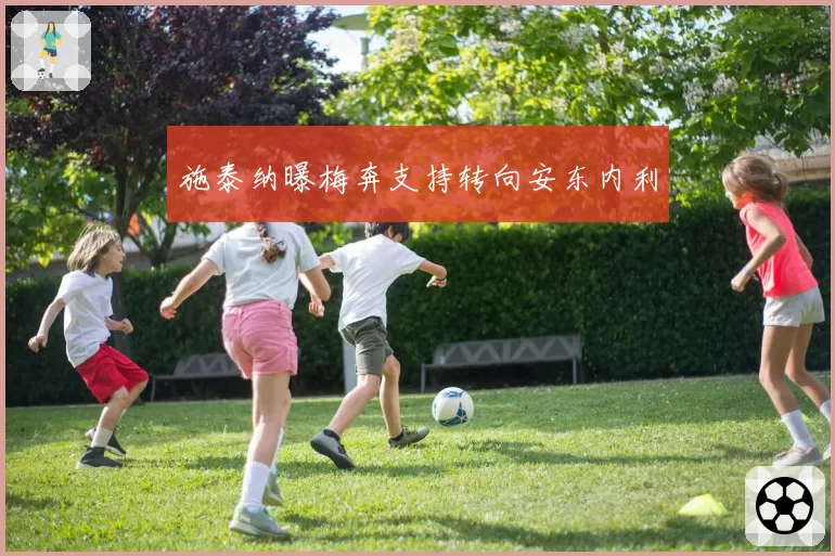 施泰纳曝梅奔支持转向安东内利
