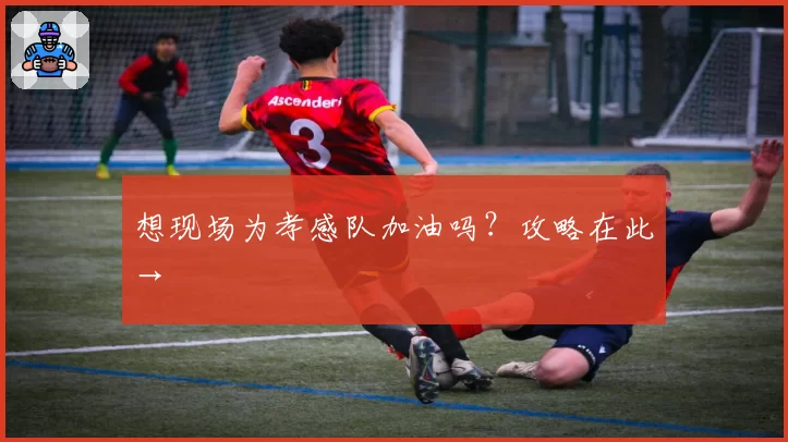 想现场为孝感队加油吗?攻略在此→